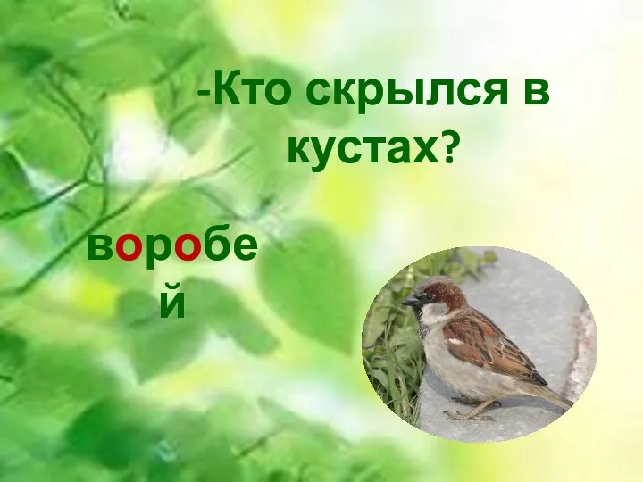 -Кто скрылся в кустах? воробей