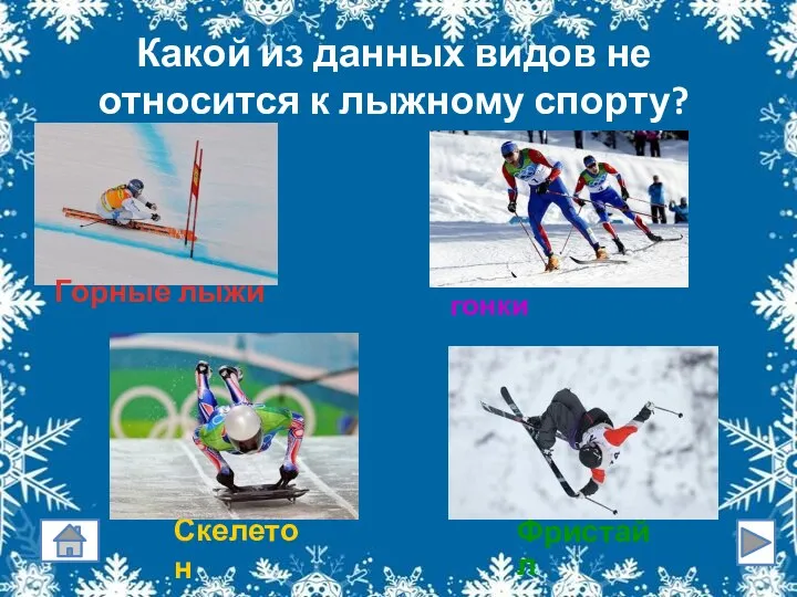Какой из данных видов не относится к лыжному спорту? Горные лыжи Скелетон Лыжные гонки Фристайл