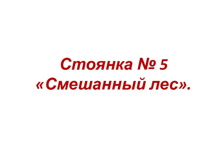 Стоянка № 5 «Смешанный лес».