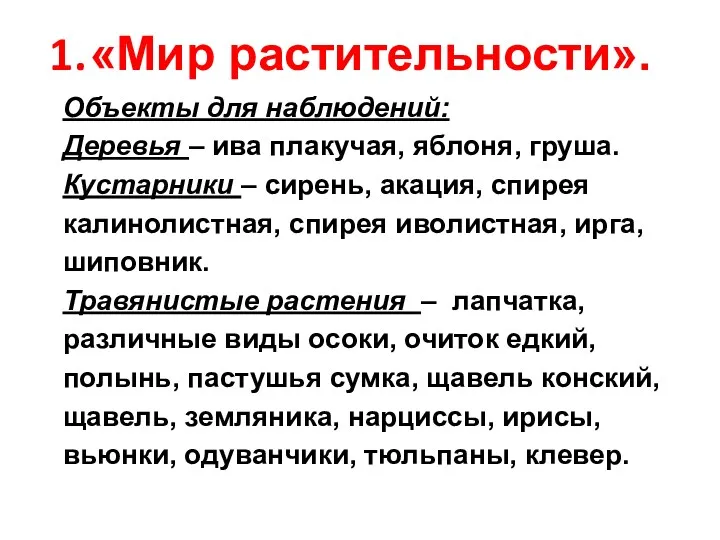 «Мир растительности». Объекты для наблюдений: Деревья – ива плакучая, яблоня,