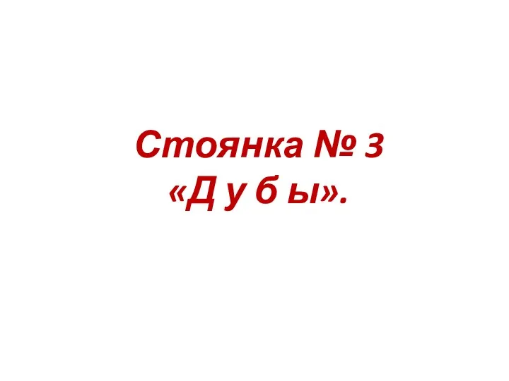 Стоянка № 3 «Д у б ы».