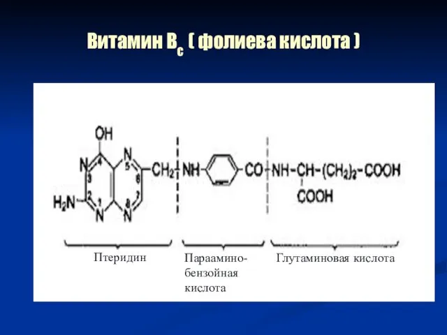 Витамин Вс ( фолиева кислота ) Птеридин Параамино- бензойная кислота Глутаминовая кислота