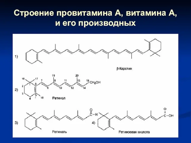 Строение провитамина А, витамина А, и его производных