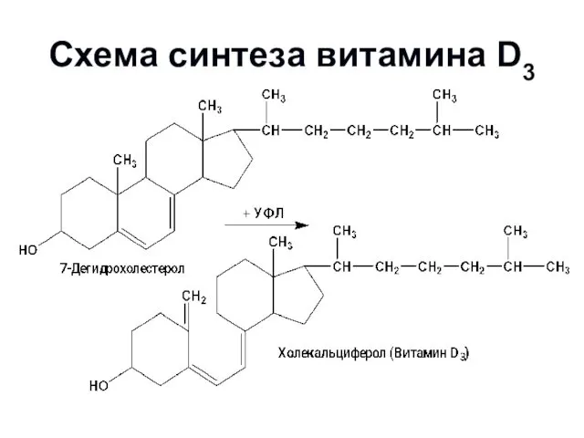 Схема синтеза витамина D3