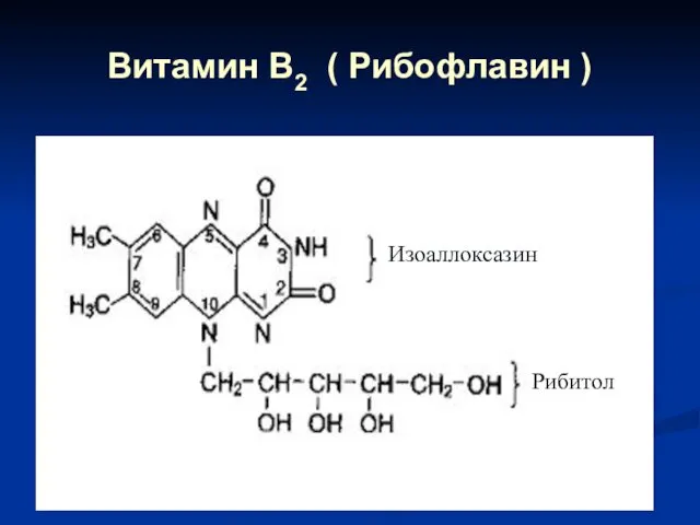 Витамин В2 ( Рибофлавин ) Изоаллоксазин Рибитол