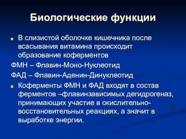 Биологические функции В слизистой оболочке кишечника после всасывания витамина происходит образование коферментов ФМН