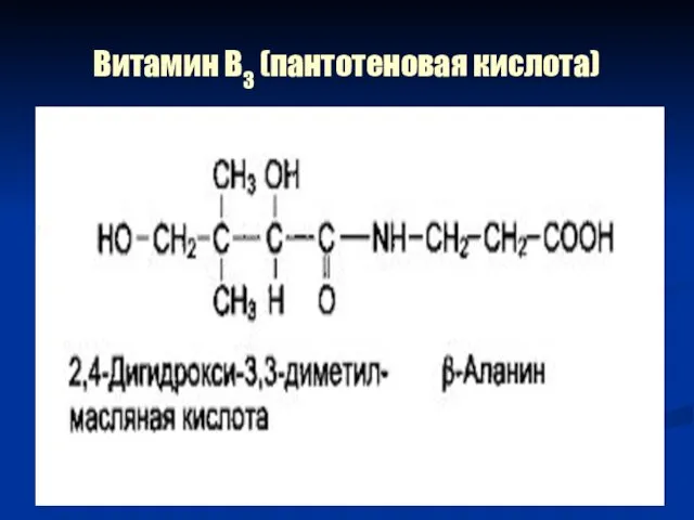 Витамин В3 (пантотеновая кислота)