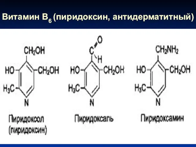 Витамин В6 (пиридоксин, антидерматитный) +Н+ -Н+ +NH3+2Н+ -Н2О