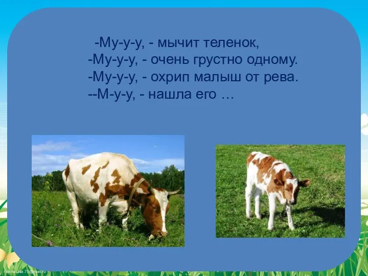 -Му-у-у, - мычит теленок, Му-у-у, - очень грустно одному. Му-у-у,