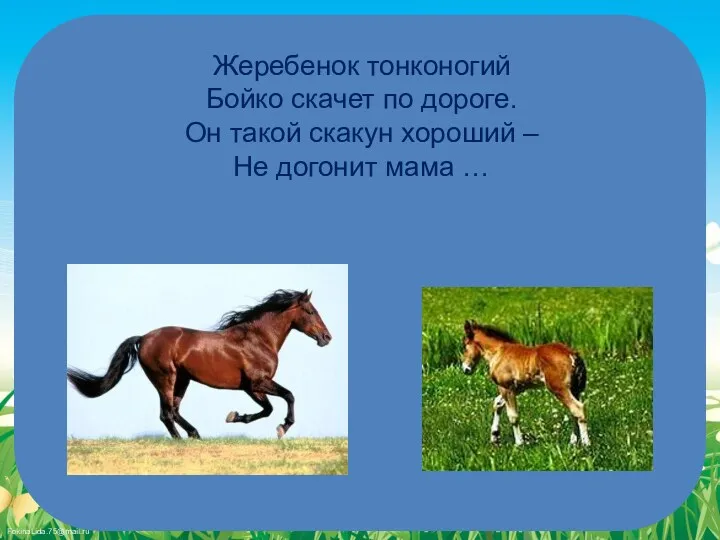 Жеребенок тонконогий Бойко скачет по дороге. Он такой скакун хороший – Не догонит мама …