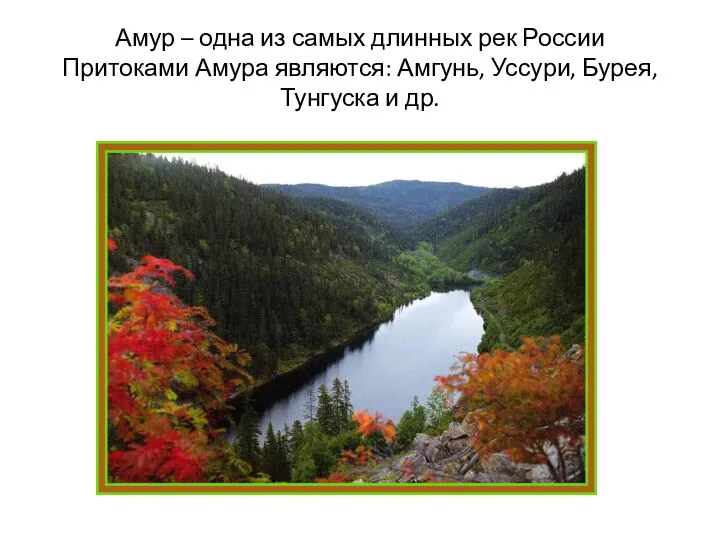 Амур – одна из самых длинных рек России Притоками Амура