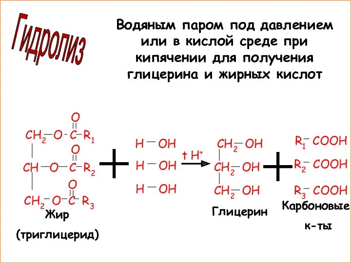 Жир (триглицерид) Глицерин Карбоновые к-ты Гидролиз Водяным паром под давлением