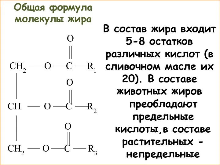 В состав жира входит 5-8 остатков различных кислот (в сливочном