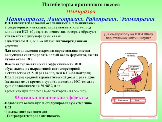 Ингибиторы протонного насоса Омепразол Пантопразол, Лансопразол, Рабепразол, Эзомепразол. ИПП являются