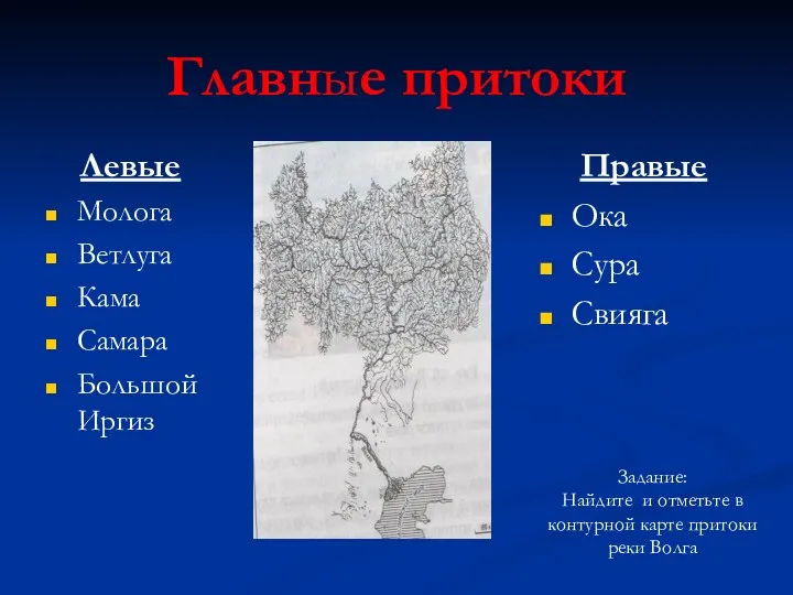 Главные притоки Левые Молога Ветлуга Кама Самара Большой Иргиз Правые