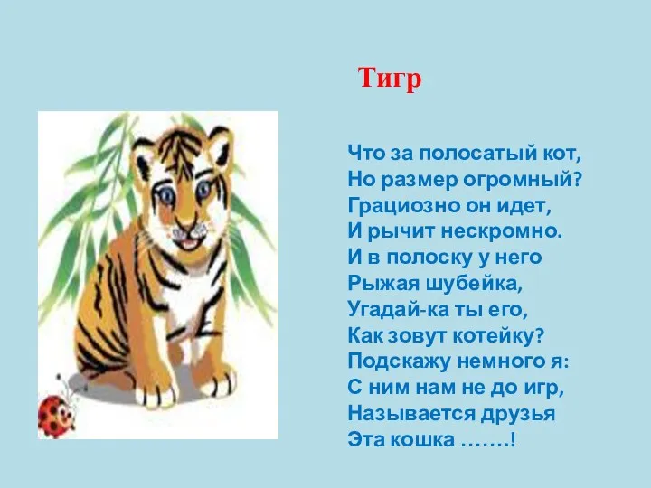 Что за полосатый кот, Но размер огромный? Грациозно он идет,