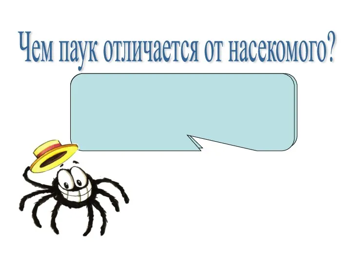 Чем паук отличается от насекомого? У паука 8ног