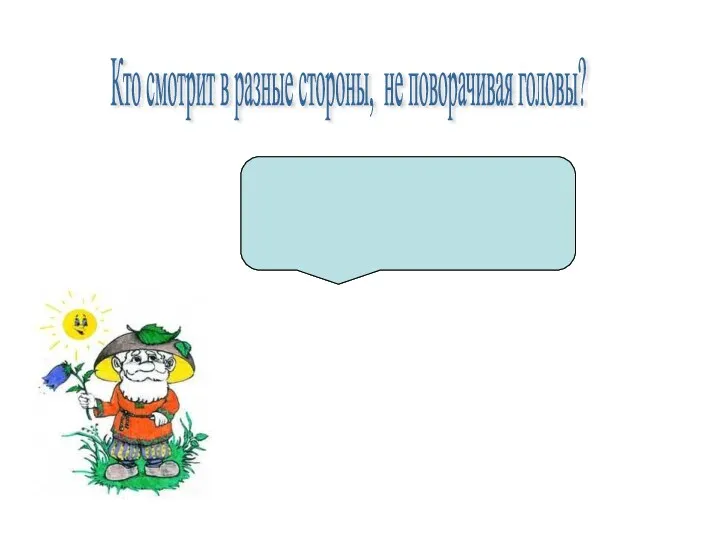 Кто смотрит в разные стороны, не поворачивая головы? НАСЕКОМЫЕ