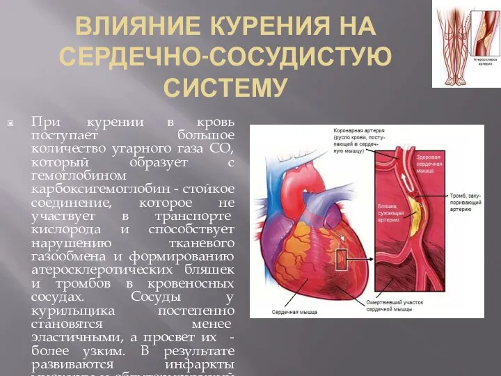 ВЛИЯНИЕ КУРЕНИЯ НА СЕРДЕЧНО-СОСУДИСТУЮ СИСТЕМУ При курении в кровь поступает