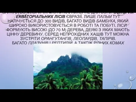 БАГАТСТВО ФЛОРИ ТА ФАУНИ ХАРАКТЕРНЕ ДЛЯ ЗОНИ ВОЛОГИХ ЕКВАТОРІАЛЬНИХ ЛІСІВ