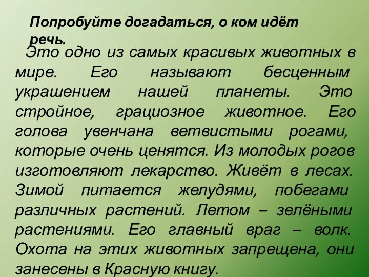 Попробуйте догадаться, о ком идёт речь. Это одно из самых