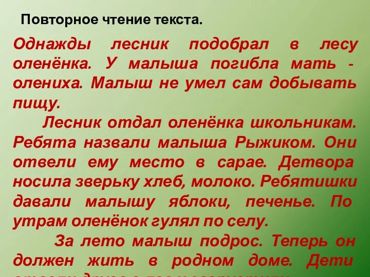 Повторное чтение текста. Однажды лесник подобрал в лесу оленёнка. У