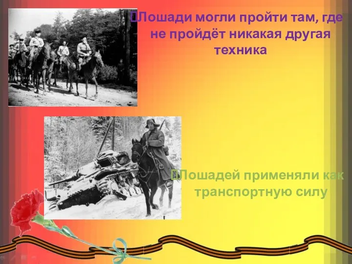 Лошади могли пройти там, где не пройдёт никакая другая техника Лошадей применяли как транспортную силу