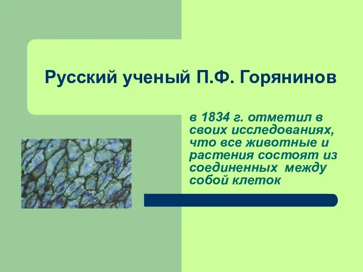 Русский ученый П.Ф. Горянинов в 1834 г. отметил в своих исследованиях, что все