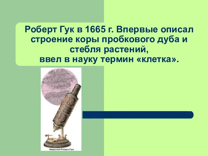 Роберт Гук в 1665 г. Впервые описал строение коры пробкового дуба и стебля