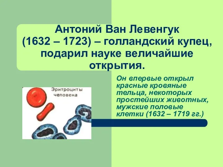 Антоний Ван Левенгук (1632 – 1723) – голландский купец, подарил науке величайшие открытия.