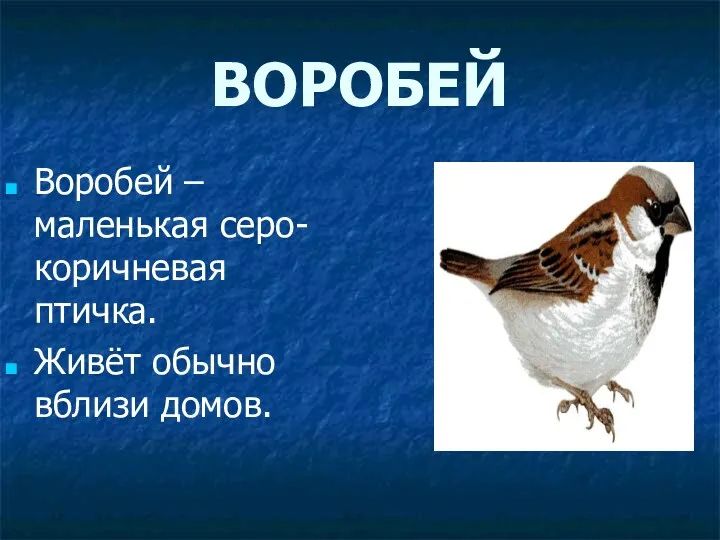 ВОРОБЕЙ Воробей – маленькая серо-коричневая птичка. Живёт обычно вблизи домов.