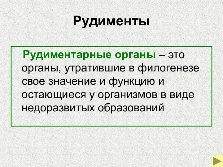 Рудименты Рудиментарные органы – это органы, утратившие в филогенезе свое