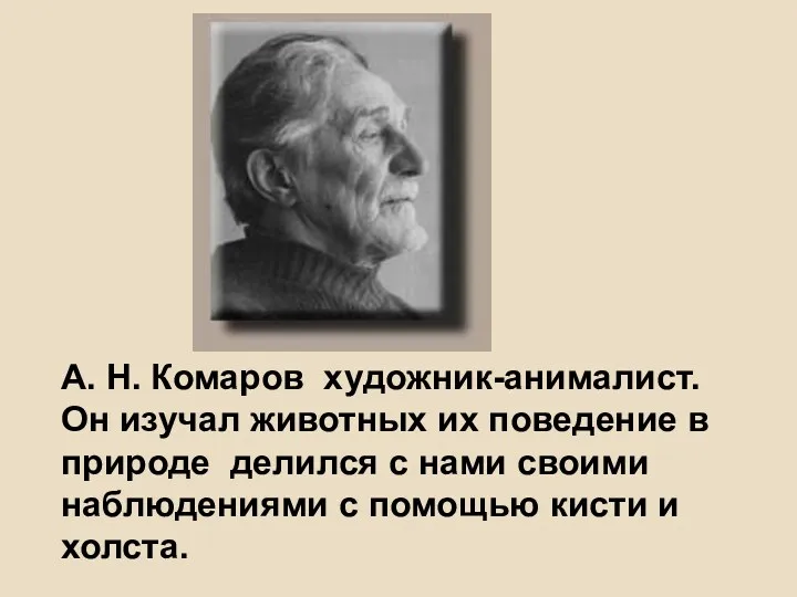 А. Н. Комаров художник-анималист. Он изучал животных их поведение в