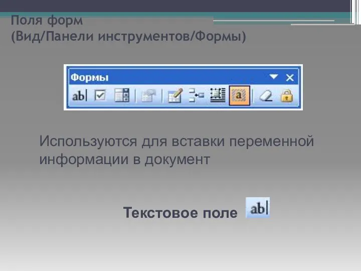 Поля форм (Вид/Панели инструментов/Формы) Используются для вставки переменной информации в документ Текстовое поле