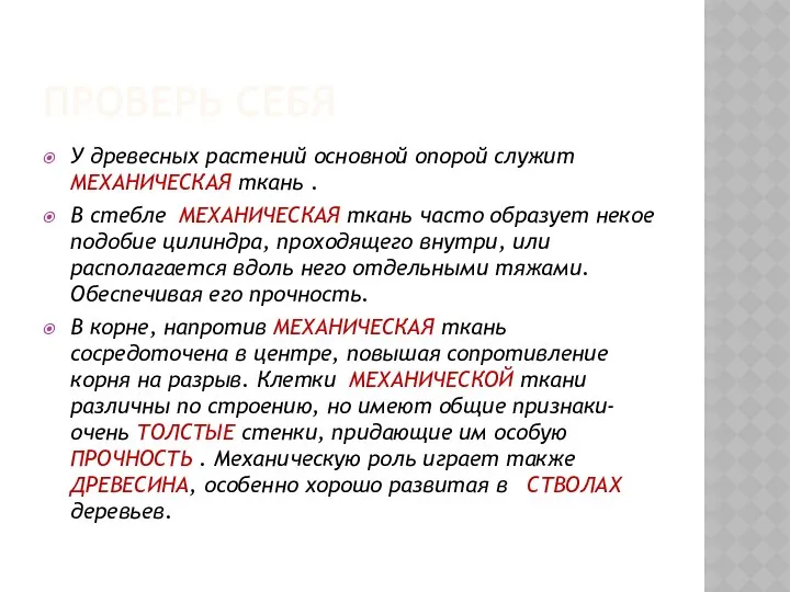 ПРОВЕРЬ СЕБЯ У древесных растений основной опорой служит МЕХАНИЧЕСКАЯ ткань