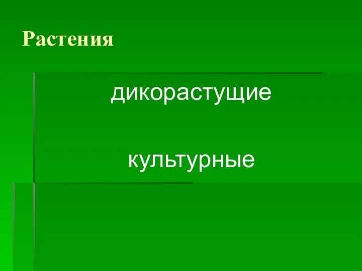 Растения дикорастущие культурные