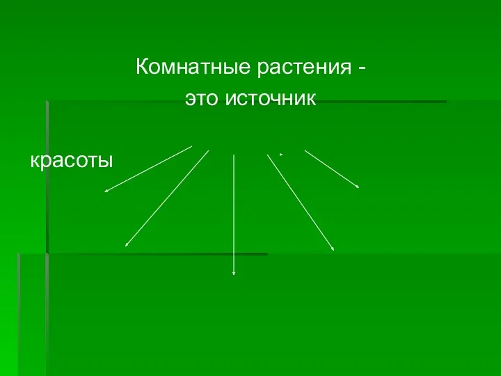 Комнатные растения - это источник красоты