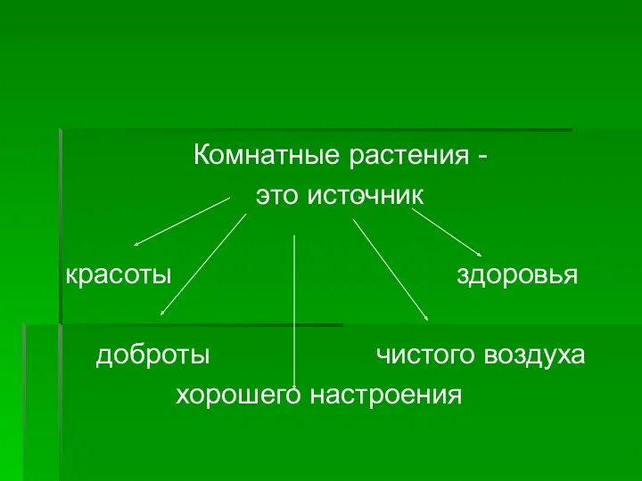 Комнатные растения - это источник красоты здоровья доброты чистого воздуха хорошего настроения