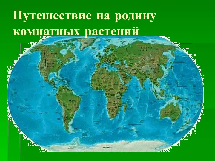 Путешествие на родину комнатных растений