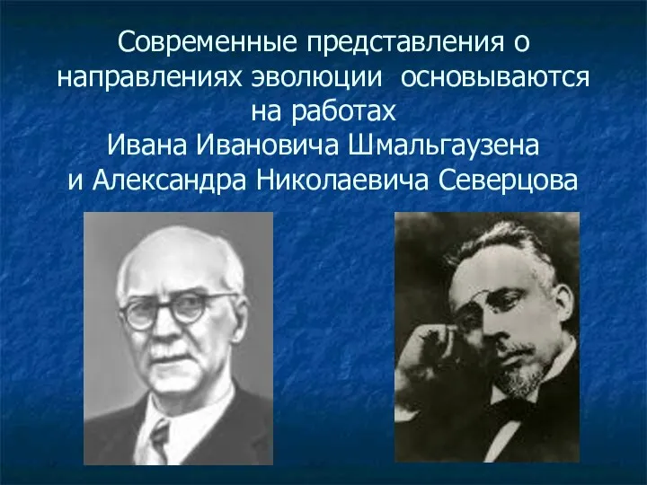 Современные представления о направлениях эволюции основываются на работах Ивана Ивановича Шмальгаузена и Александра Николаевича Северцова