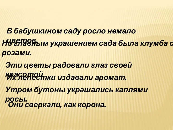 В бабушкином саду росло немало цветов. Но главным украшением сада