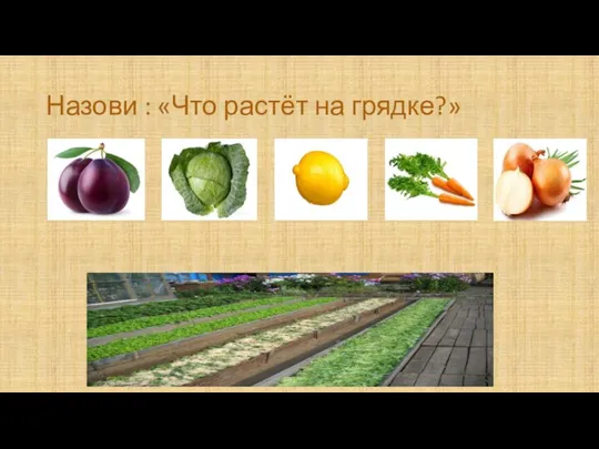 Назови : «Что растёт на грядке?»