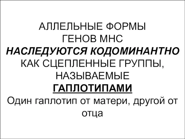 Allelic Forms of MHC Genes Are Inherited in Linked Groups Called Haplotypes АЛЛЕЛЬНЫЕ