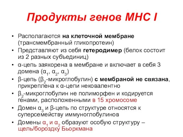 Продукты генов MHC I Располагаются на клеточной мембране (трансмембранный гликопротеин)