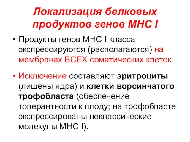 Локализация белковых продуктов генов MHC I Продукты генов MHC I класса экспрессируются (располагаются)