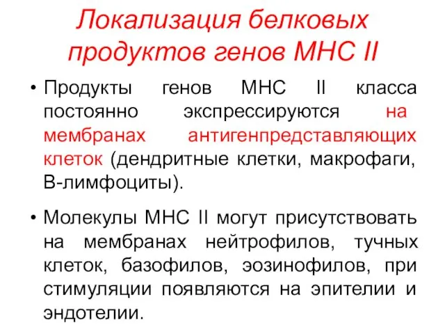 Локализация белковых продуктов генов MHC II Продукты генов MHC II класса постоянно экспрессируются