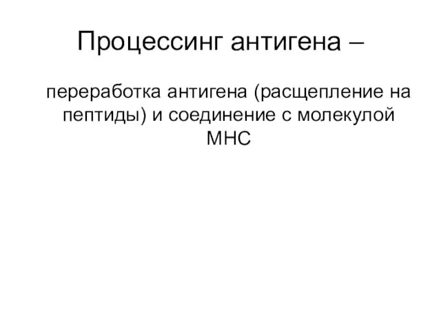 Процессинг антигена – переработка антигена (расщепление на пептиды) и соединение с молекулой MHC