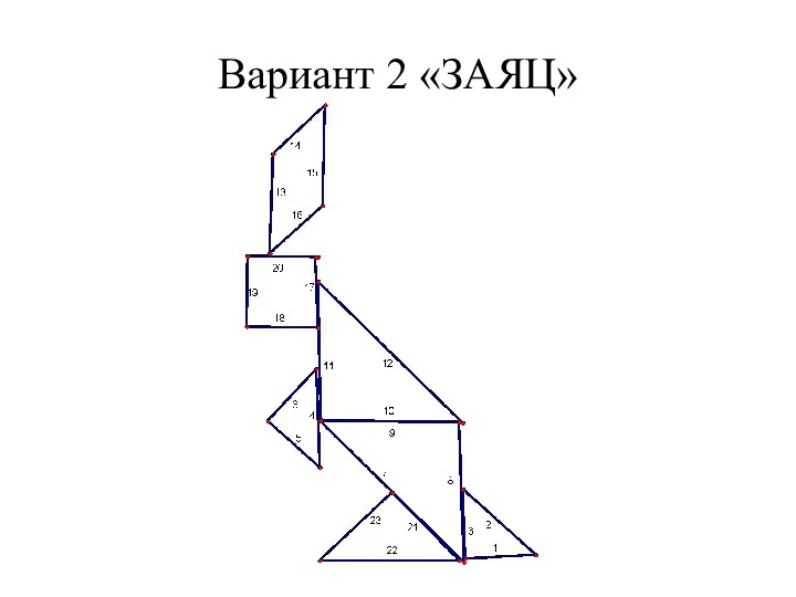 Вариант 2 «ЗАЯЦ»