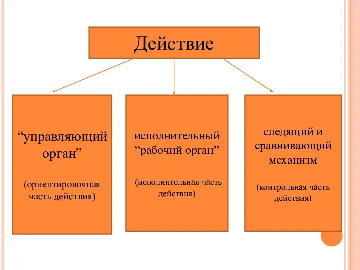 Действие “управляющий орган” (ориентировочная часть действия) исполнительный “рабочий орган” (исполнительная