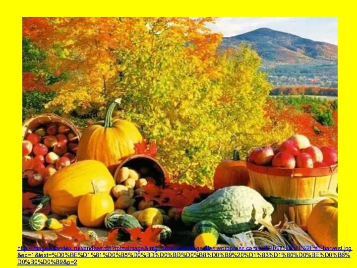 http://images.yandex.ru/yandsearch?rpt=simage&img_url=decorvillage.files.wordpress.com%2F2007%2F11%2Ffall-harvest.jpg&ed=1&text=%D0%BE%D1%81%D0%B5%D0%BD%D0%BD%D0%B8%D0%B9%20%D1%83%D1%80%D0%BE%D0%B6%D0%B0%D0%B9&p=2